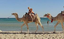  Plages de sables